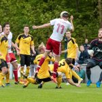 14.05.2017 - Verbandsliga M/V: Greifswalder FC vs. Torgelower FC Greif
